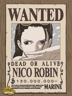 Luffy Personnage Prime Petit Puzzle Cadre Photo Décoration