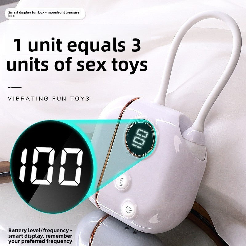 Trousse de relaxation personnelle portable double fonction, ensemble de massage en silicone souple à écran LCD avec étui de rangement à chargement magnétique, accessoire de soin quotidien silencieux et étanche